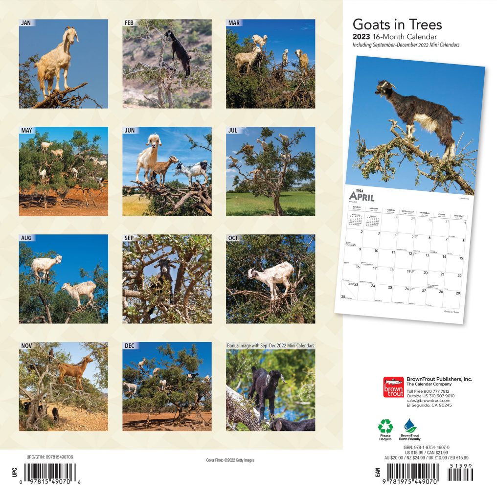 goats-in-trees-wall-calendar-harvest-house-ministries